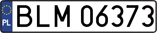 BLM06373