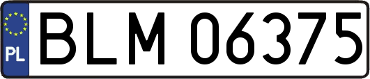 BLM06375
