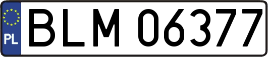 BLM06377