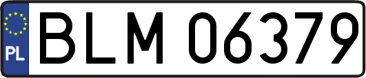BLM06379