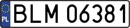 BLM06381