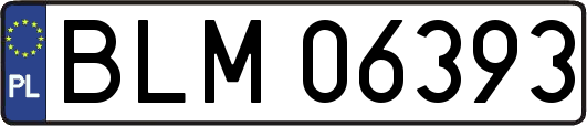 BLM06393