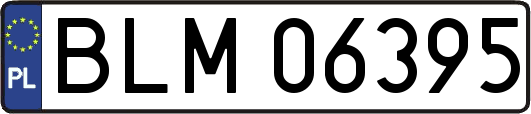 BLM06395
