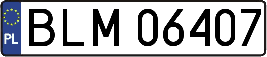 BLM06407