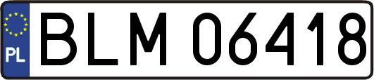 BLM06418