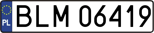 BLM06419