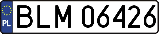 BLM06426