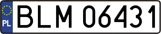 BLM06431