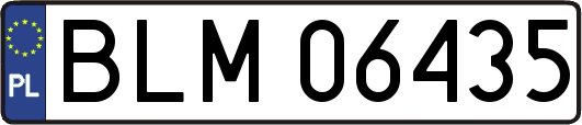 BLM06435