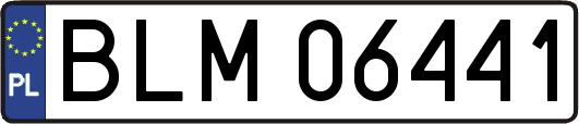 BLM06441