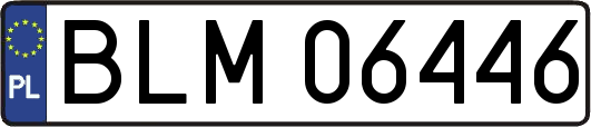 BLM06446