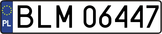BLM06447