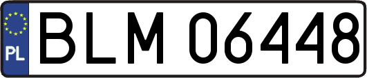 BLM06448