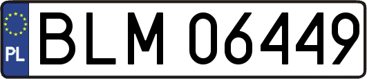 BLM06449