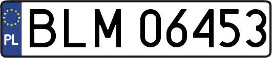 BLM06453