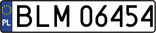 BLM06454