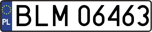BLM06463