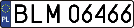 BLM06466
