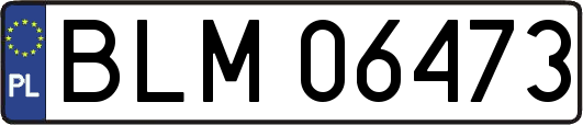 BLM06473