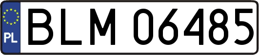 BLM06485