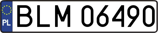 BLM06490