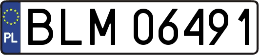 BLM06491
