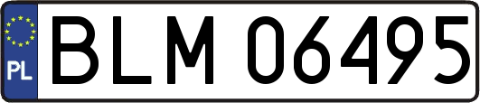 BLM06495