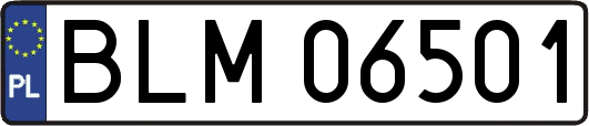 BLM06501