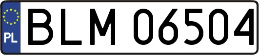 BLM06504