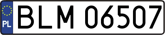 BLM06507