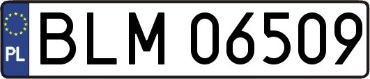 BLM06509