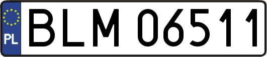 BLM06511