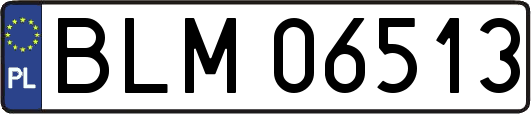 BLM06513