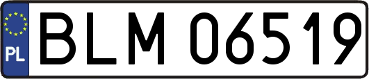 BLM06519