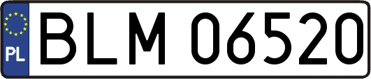 BLM06520