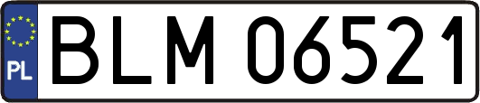 BLM06521