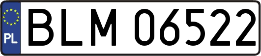 BLM06522
