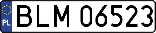 BLM06523