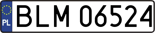 BLM06524