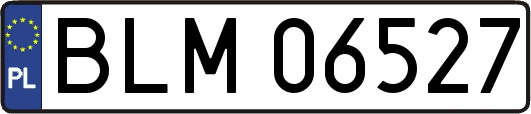 BLM06527