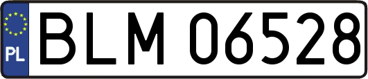 BLM06528