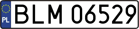 BLM06529