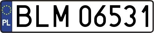 BLM06531