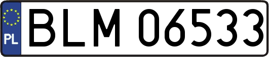 BLM06533