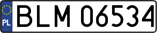 BLM06534