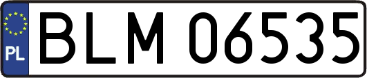 BLM06535
