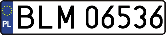 BLM06536
