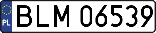 BLM06539