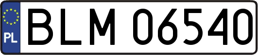 BLM06540