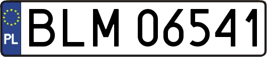 BLM06541